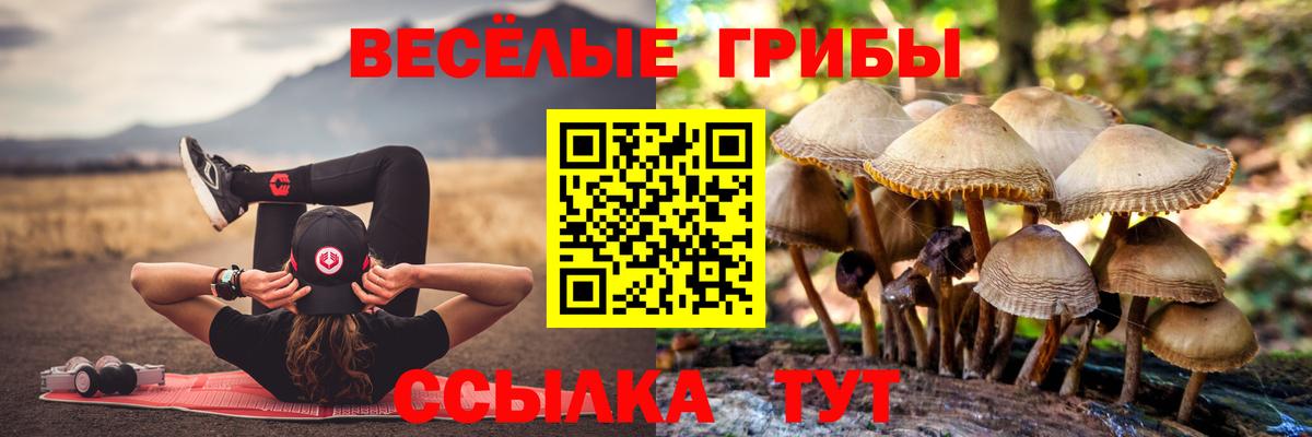 Псилоцибиновые грибы ЛСД  Вход с VPN  Будённовск 